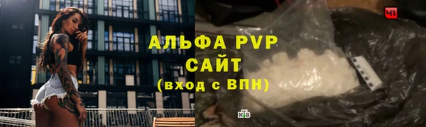ПСИЛОЦИБИНОВЫЕ ГРИБЫ Баксан