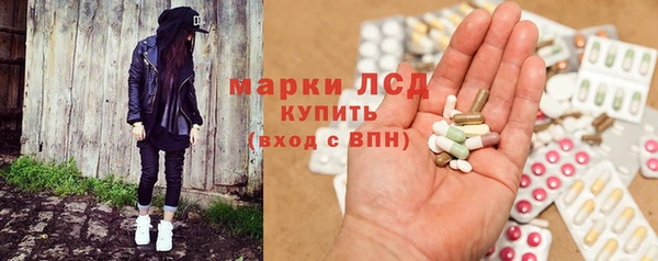 ПСИЛОЦИБИНОВЫЕ ГРИБЫ Баксан