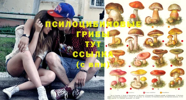 ПСИЛОЦИБИНОВЫЕ ГРИБЫ Баксан